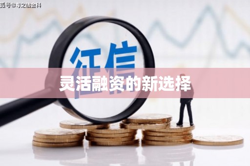 临潭灵活融资的新选择