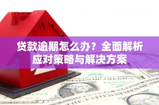 临潭贷款逾期怎么办？全面解析应对策略与解决方案