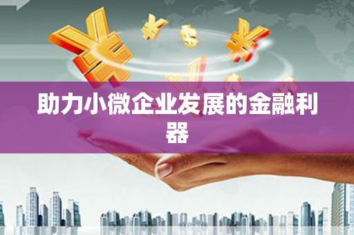临潭助力小微企业发展的金融利器