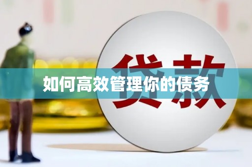 临潭如何高效管理你的债务