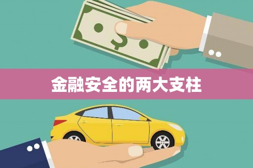 临潭金融安全的两大支柱
