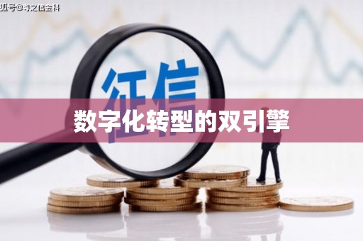临潭数字化转型的双引擎