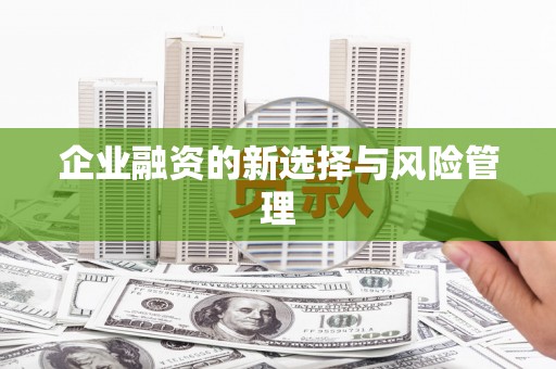 临潭企业融资的新选择与风险管理