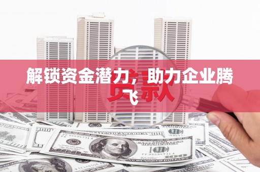 临潭解锁资金潜力，助力企业腾飞