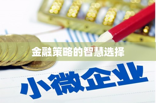 临潭金融策略的智慧选择
