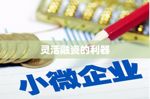临潭灵活融资的利器