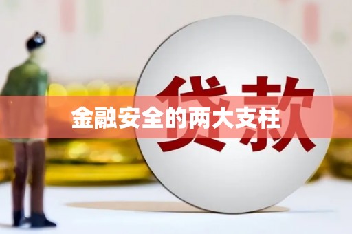 临潭金融安全的两大支柱