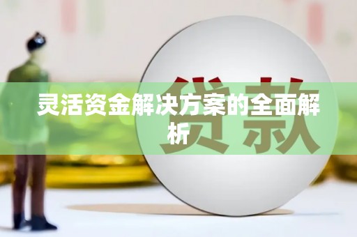 临潭灵活资金解决方案的全面解析