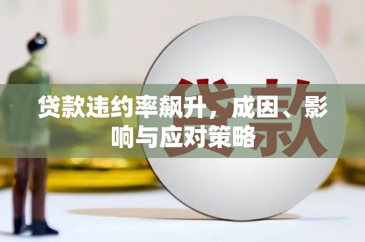 临潭贷款违约率飙升，成因、影响与应对策略
